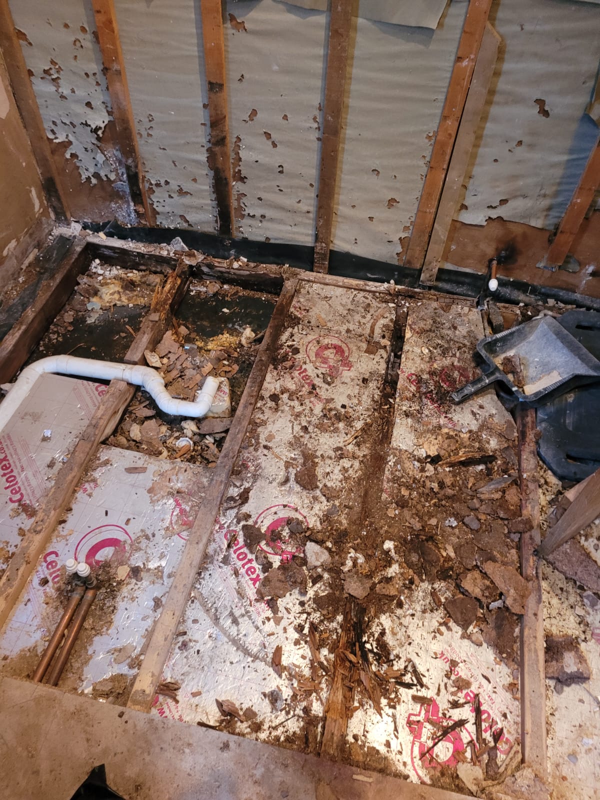 Rotted timber from bathroom leak